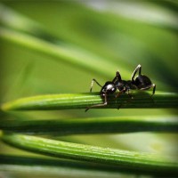 /album/roabertchiffni/photolia-a05-jpg/