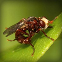 /album/roabertchiffni/photolia-a06-jpg/